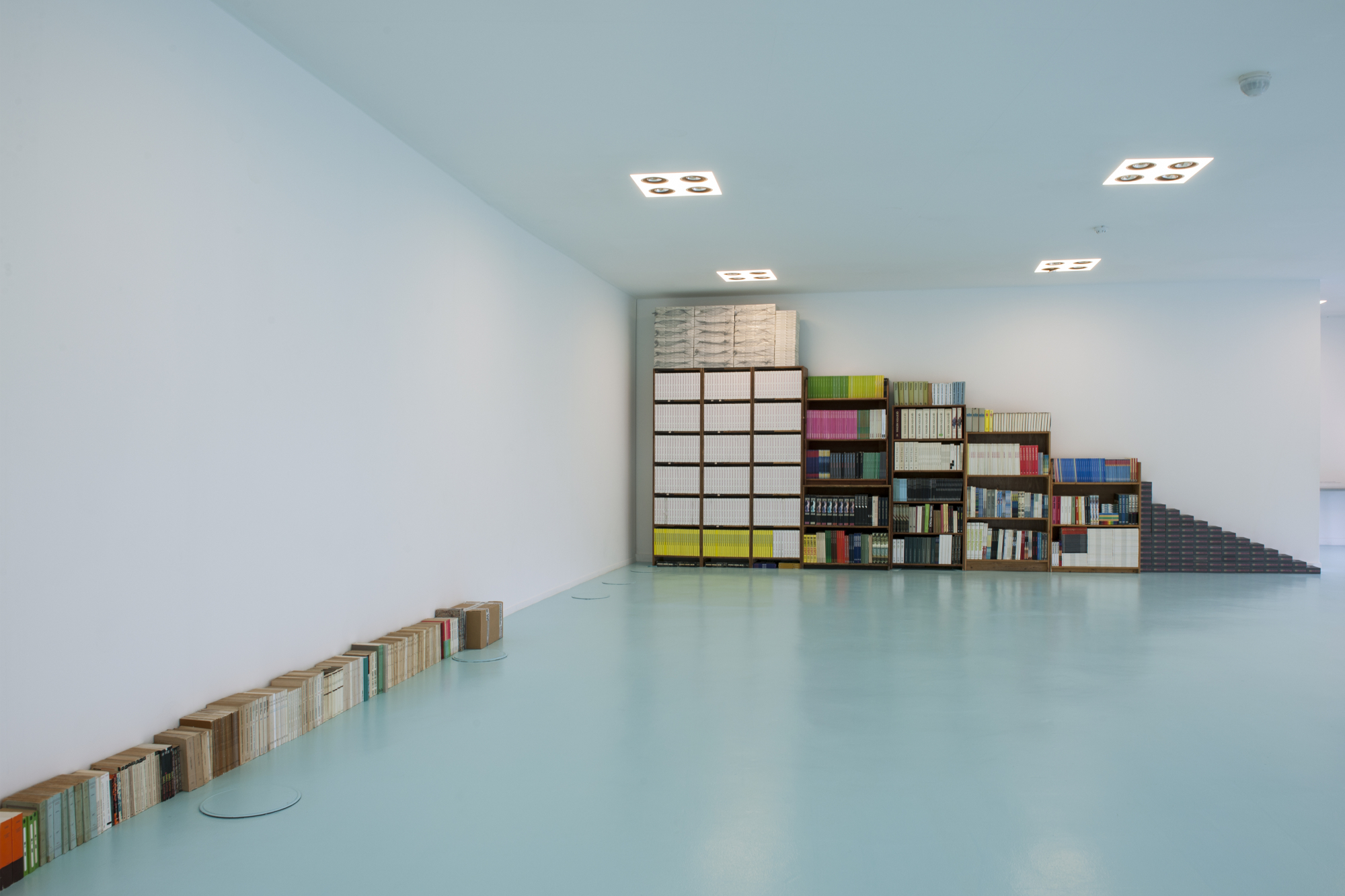 MACS - vue de l'exposition Jacques André. Buku-Buku