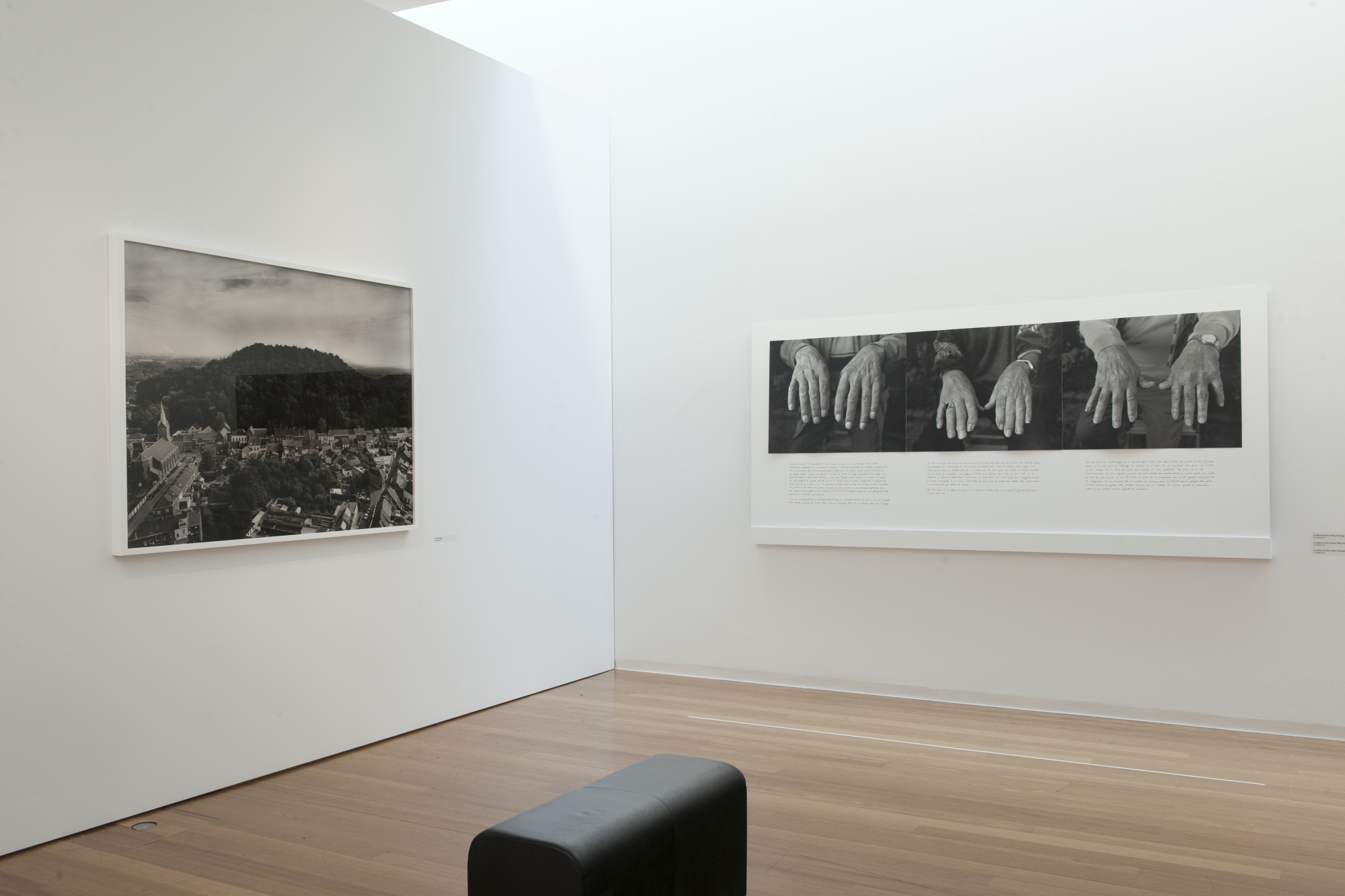 MACS - Exposition - LaToya Ruby Frazier, Et des terrils un arbre s'elevera 