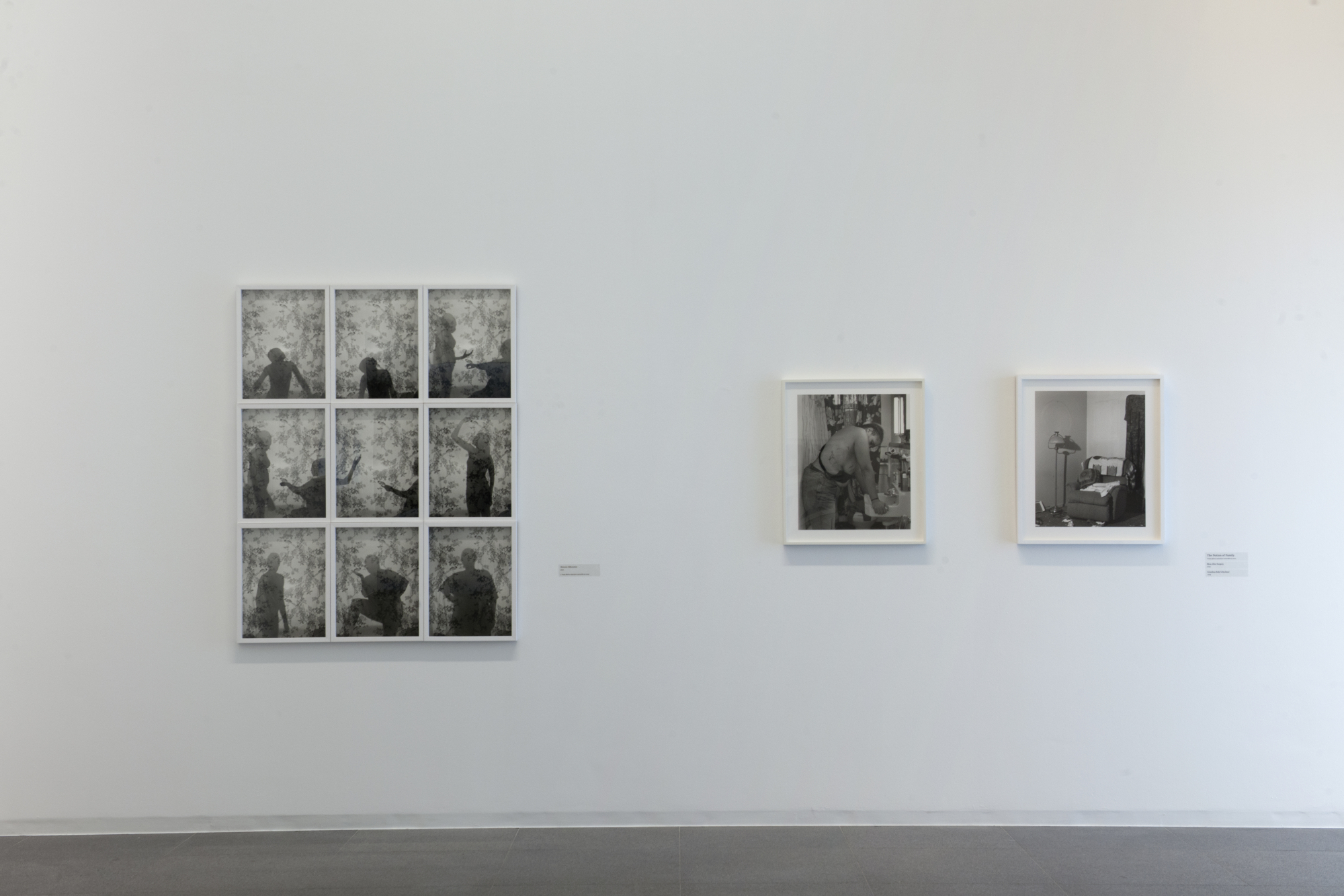 MACS - Exposition - LaToya Ruby Frazier, Et des terrils un arbre s'elevera 