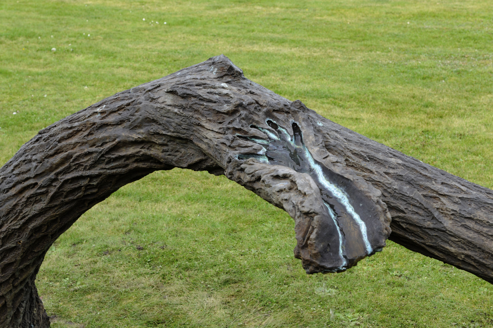 MACS - Exposition - Giuseppe Penone. Des veines, au ciel, ouvertes