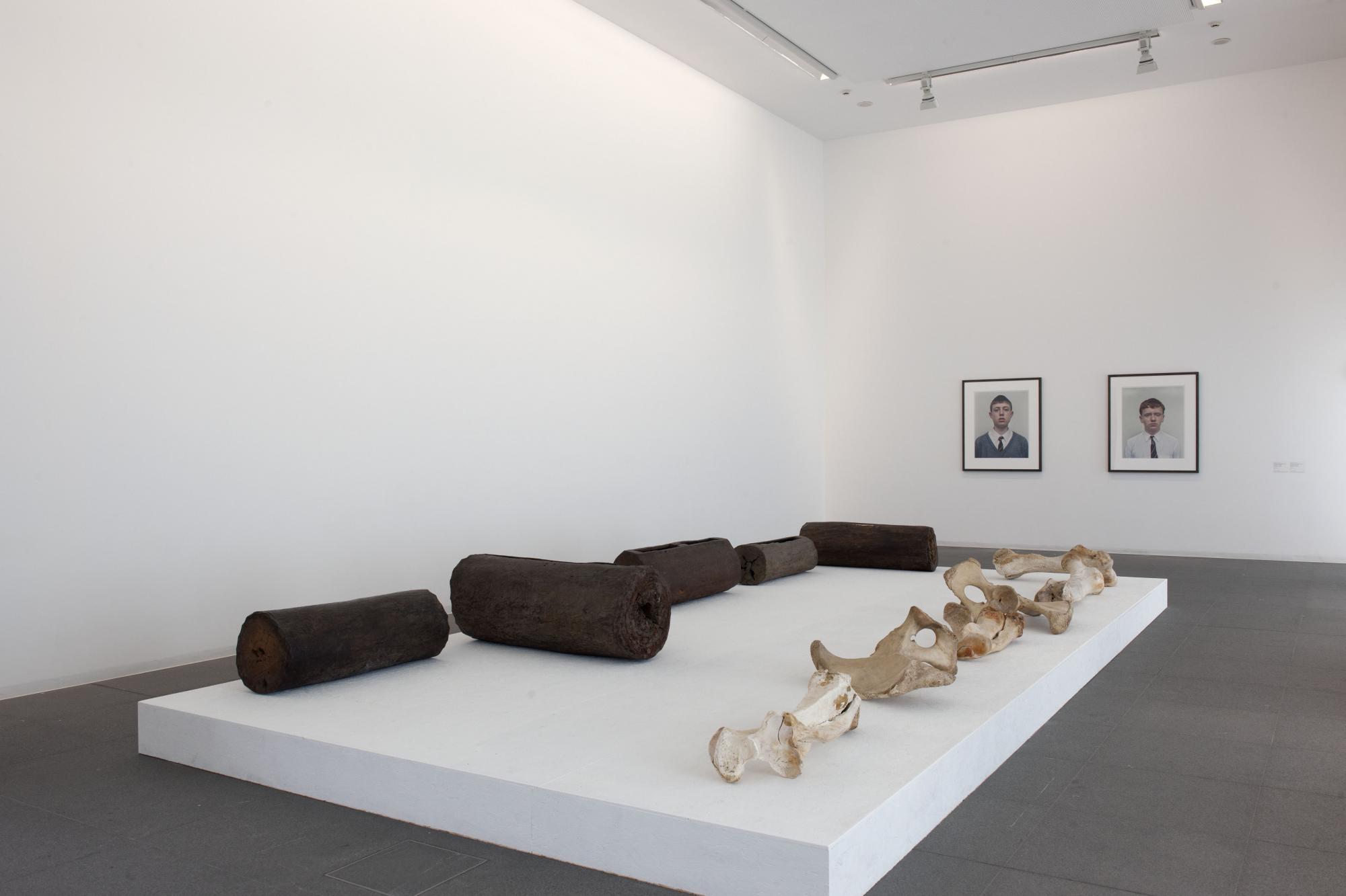 MACS - Exposition - Ce tant curieux musée