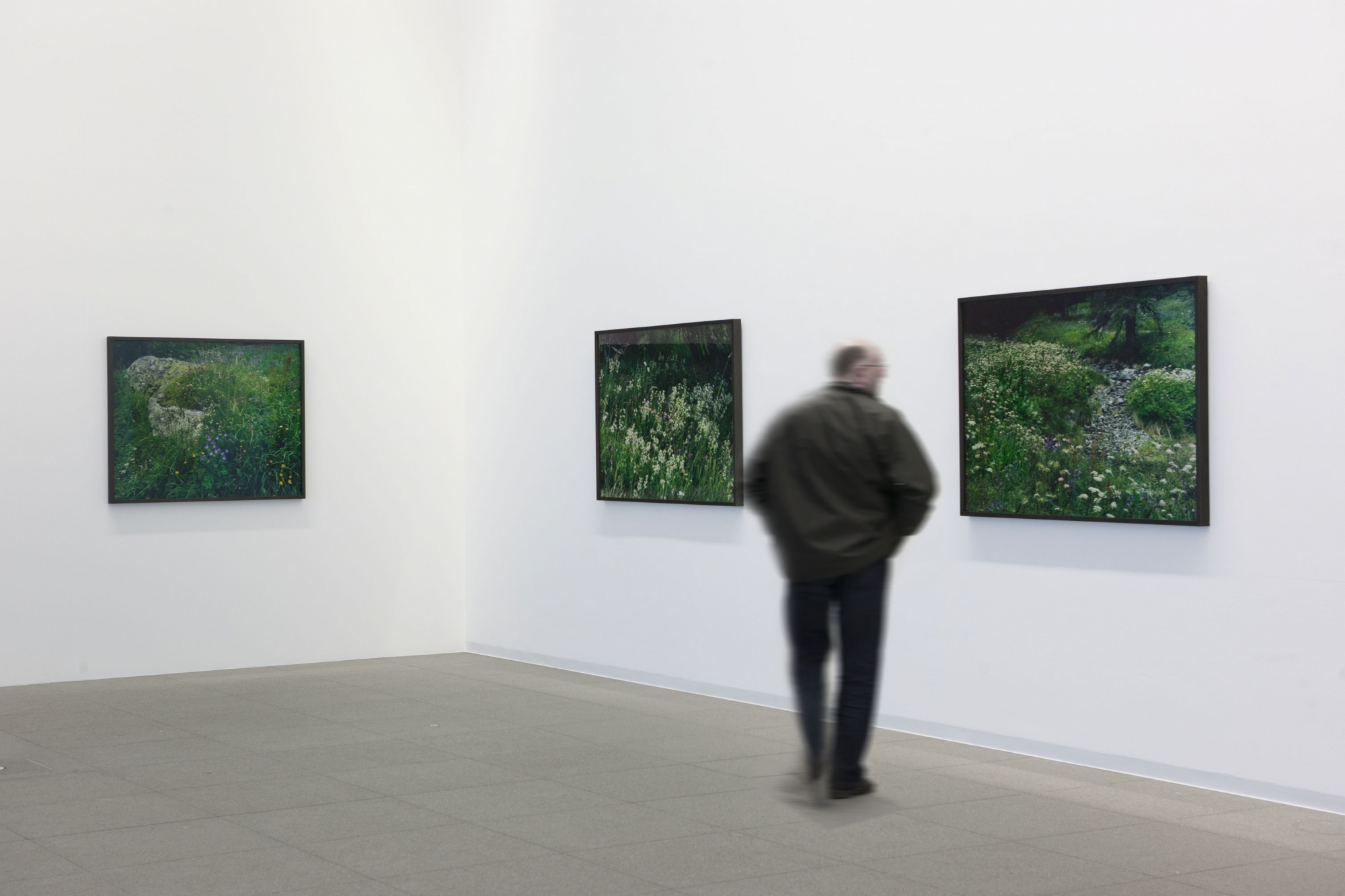 MACS - Exposition - Balthasar Burkhard. Voici des fruits, des fleurs, des feuilles et des branches