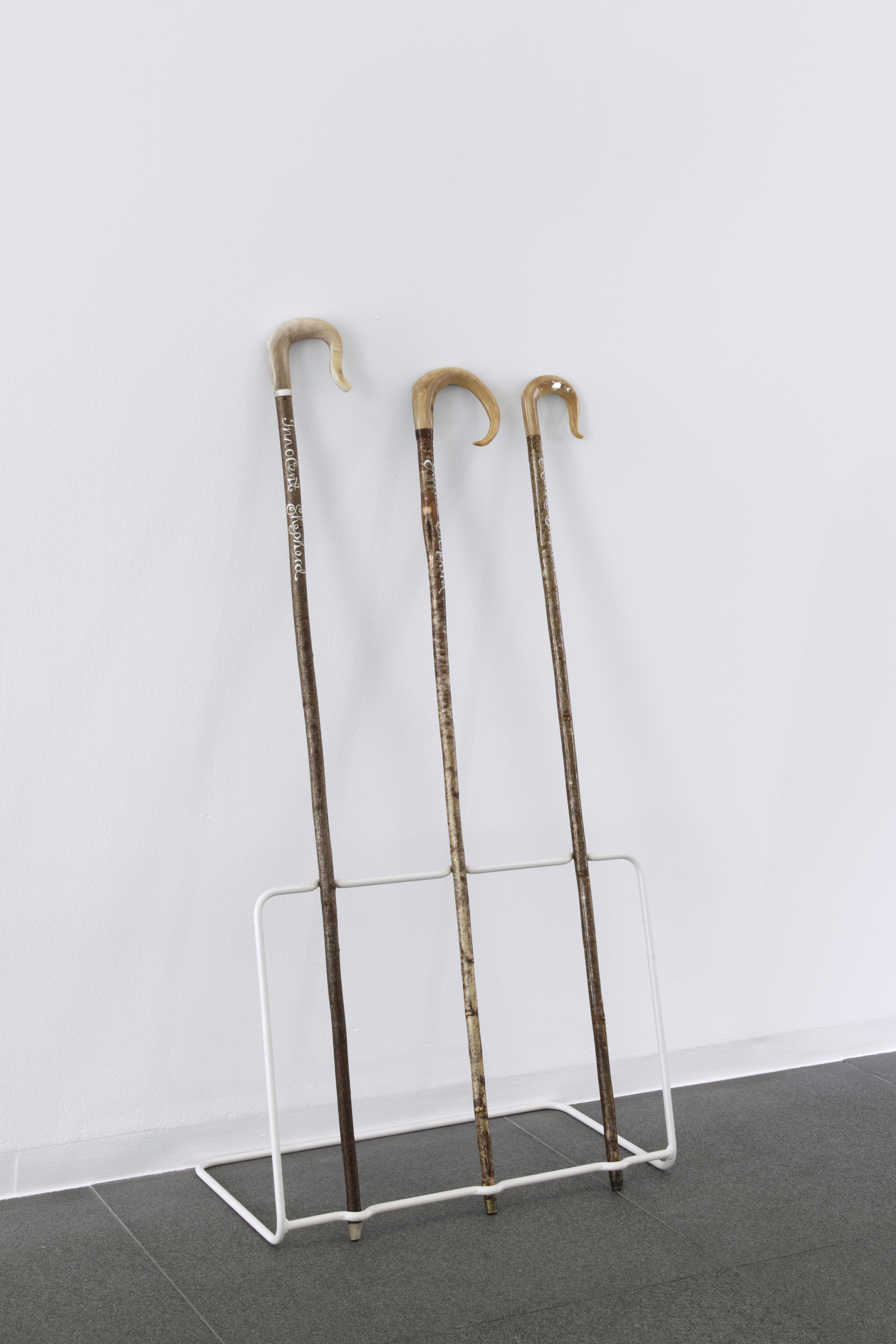 MACS - Exposition - Orla Barry