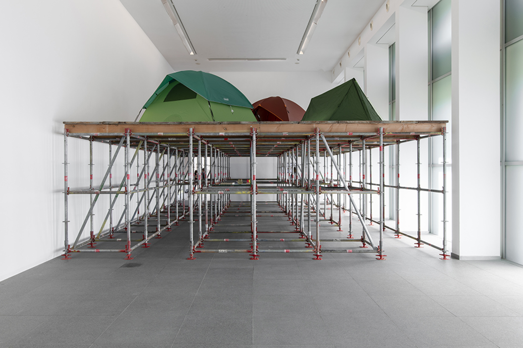 MACS - Exposition - Haim Steinbach