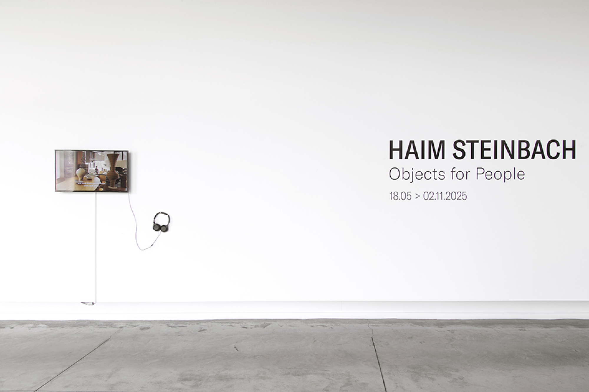 MACS - Exposition - Haim Steinbach