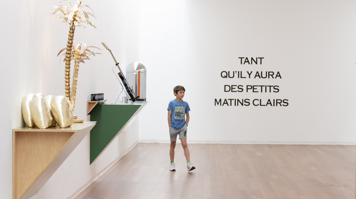MACS - Agenda - Stage "cabinet de curiosités - 8 - 12 ans
