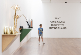 MACS - Agenda - Stage "cabinet de curiosités - 8 - 12 ans