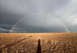 MACS - Agenda - Conversation Fabrice Hyber, Honoré δ’O et Denis Gielen 