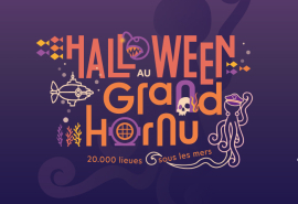 MACS - Agenda - Halloween au Grand-Hornu