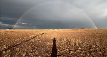 MACS - Agenda - Conversation Fabrice Hyber, Honoré δ’O et Denis Gielen 