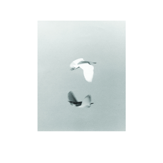 MACS - Publication - Jochen Lempert - Litho