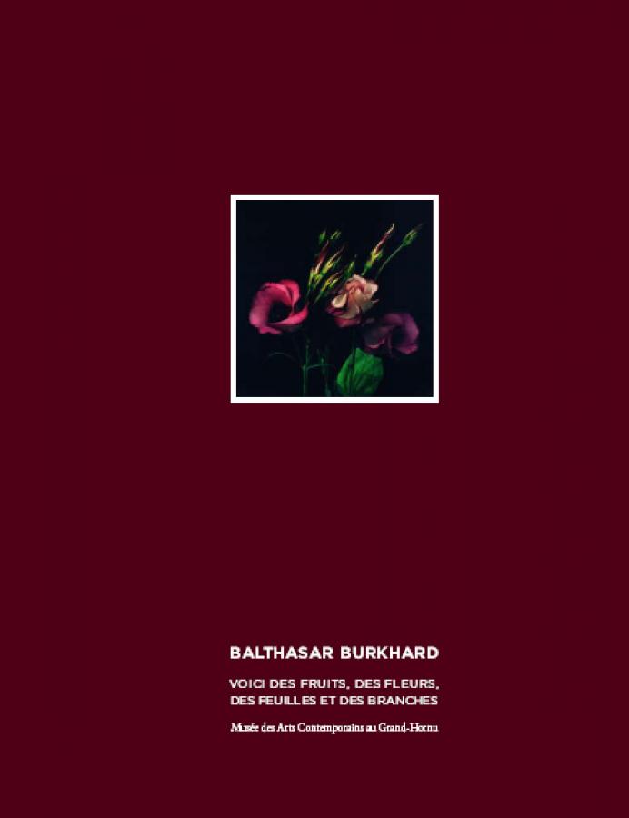 MACS - Catalogue - Balthasar Burkhard. Voici des fruits, des fleurs, des feuilles et des branches