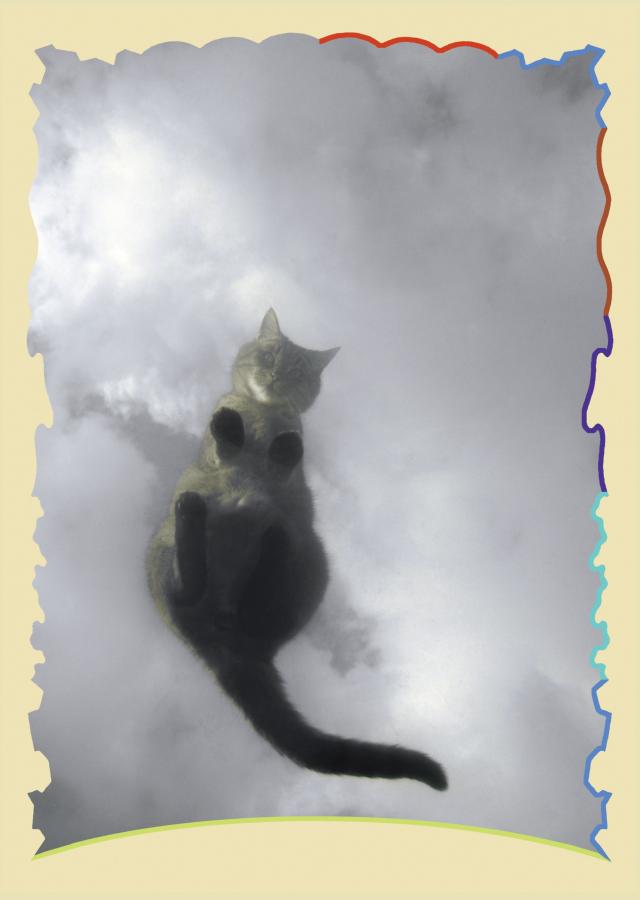 MACS - Lithographie -  Guy Rombouts, Un Chat dans les nuages