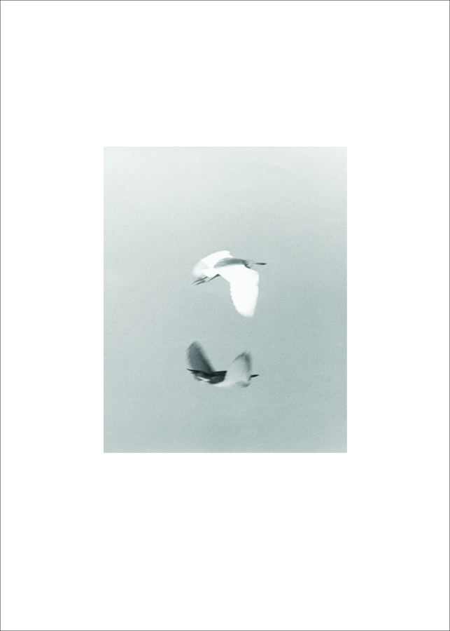 MACS - Publication - Jochen Lempert - Litho
