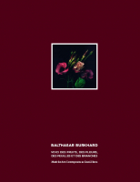MACS - Catalogue - Balthasar Burkhard. Voici des fruits, des fleurs, des feuilles et des branches