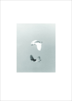 MACS - Publication - Jochen Lempert - Litho