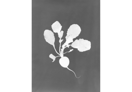 MACS - Exposition - Jochen Lempert