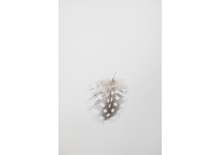 MACS - Exposition - Lionel Estève