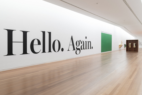 MACS - Exposition - Haim Steinbach